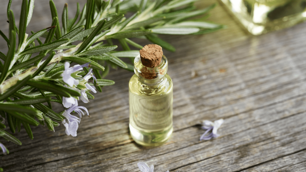 Rosemary oil