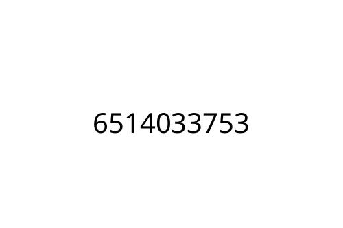 6514033753
