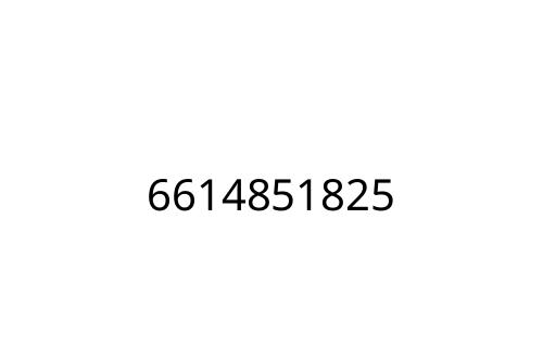 6614851825