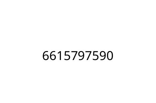 6615797590