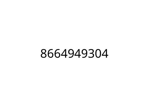8664949304