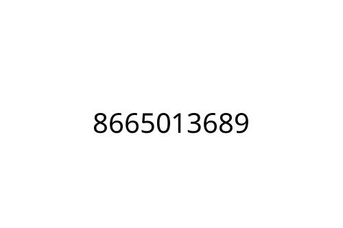 8665013689
