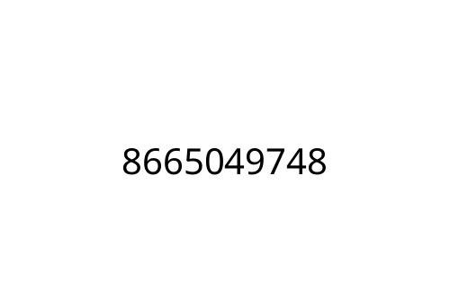 8665049748