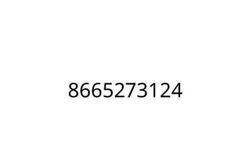 8665273124