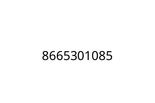 8665301085