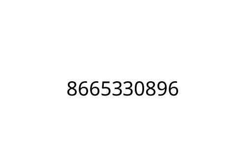 8665330896