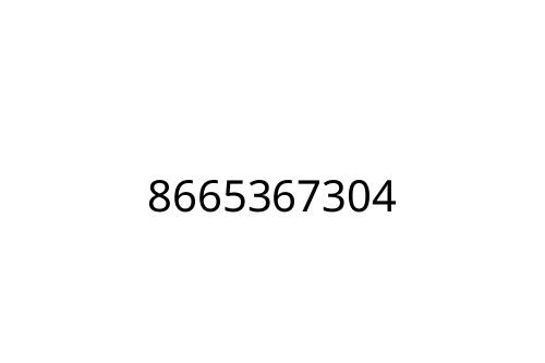 8665367304
