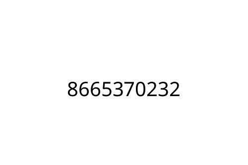 8665370232
