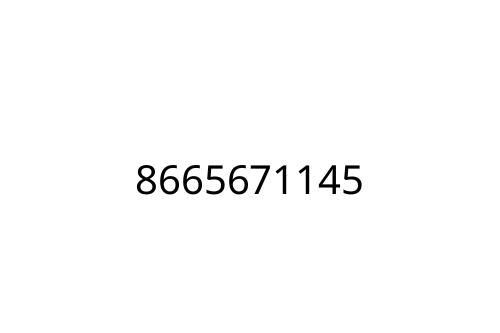 8665671145
