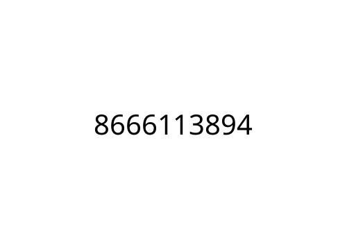 8666113894