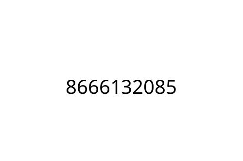 8666132085