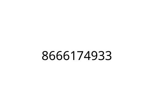 8666174933