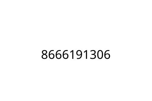 8666191306
