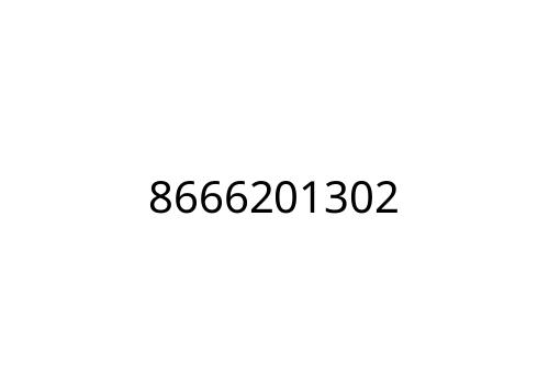 8666201302