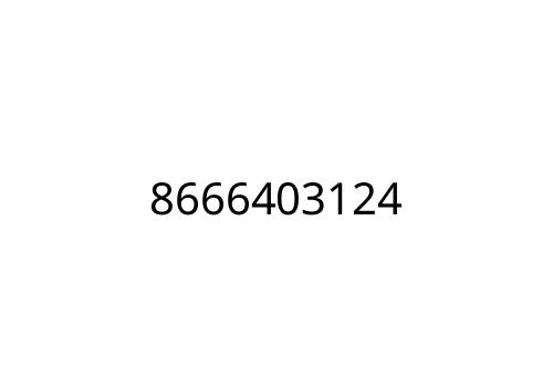 8666403124