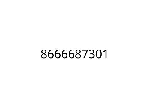 8666687301