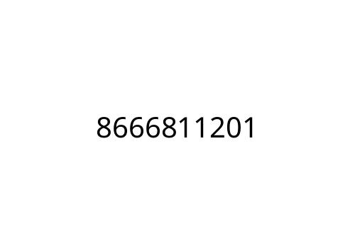 8666811201