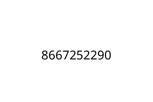 8667252290