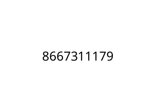 8667311179