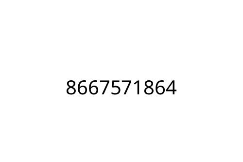 8667571864
