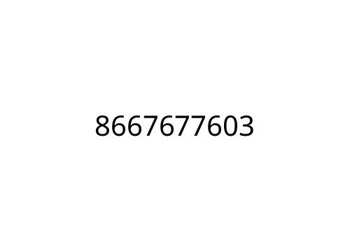 8667677603