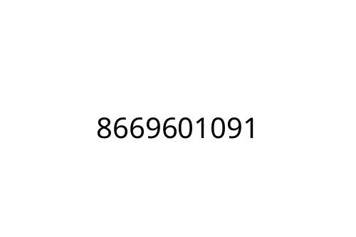 8669601091