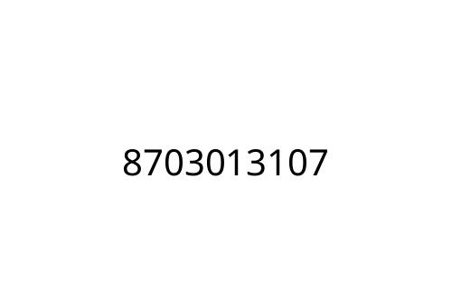 8703013107