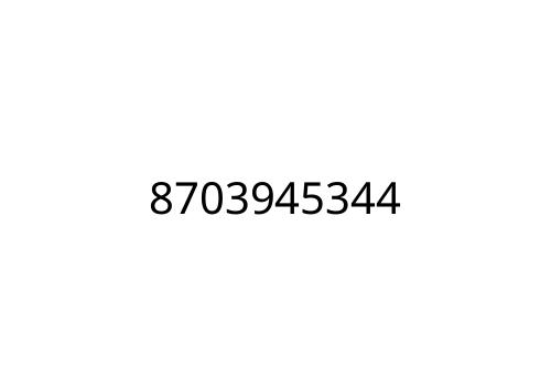 8703945344