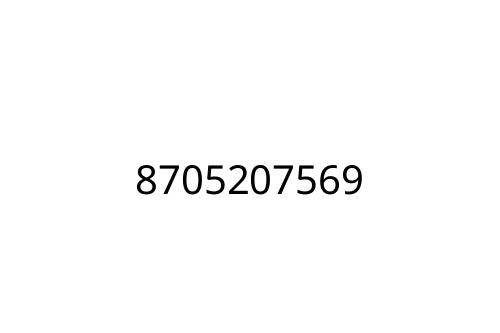 8705207569