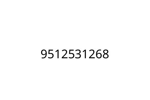 9512531268