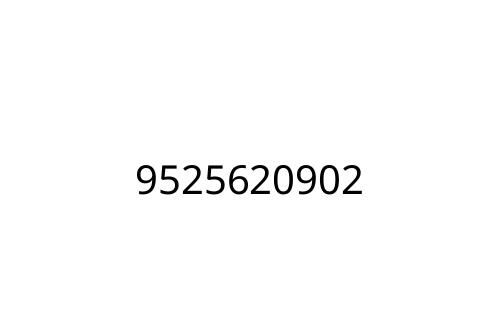 9525620902