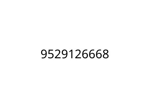9529126668