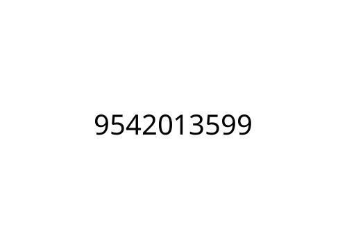9542013599