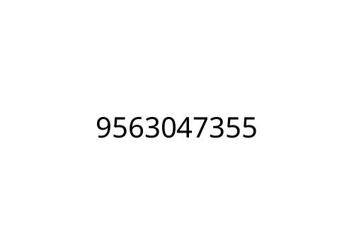 9563047355