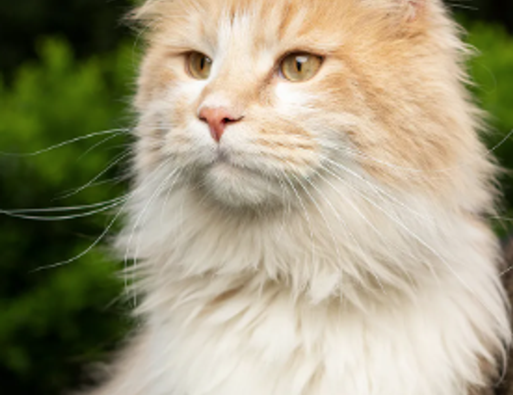 76ers vs orlando magic match player stats