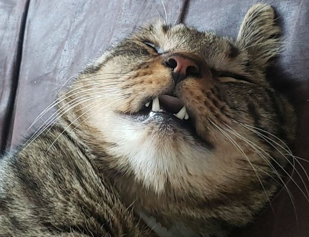 facil:yg8isdfwnoa= dibujos aesthetic