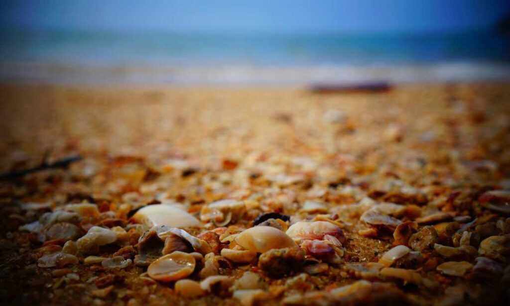 sophie stonehouse onlyfans