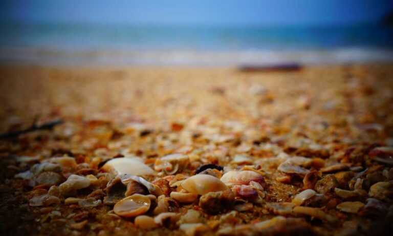 sophie stonehouse onlyfans