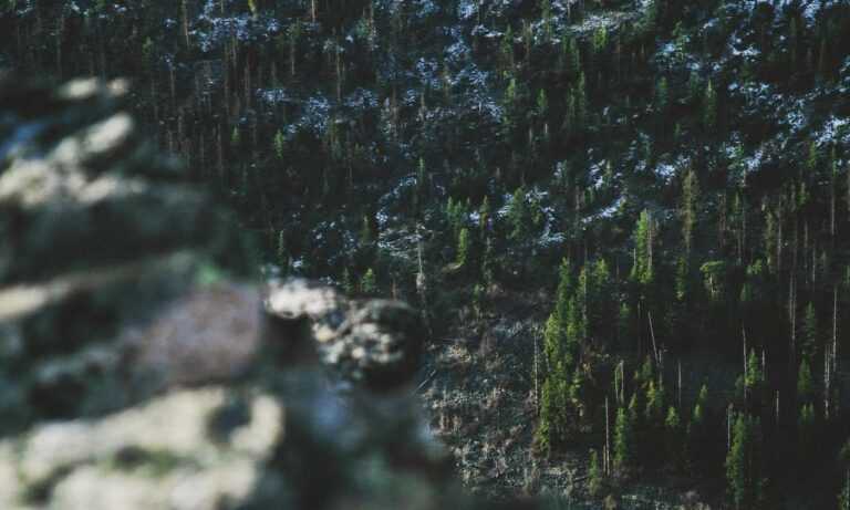 vampiro cartel de cali