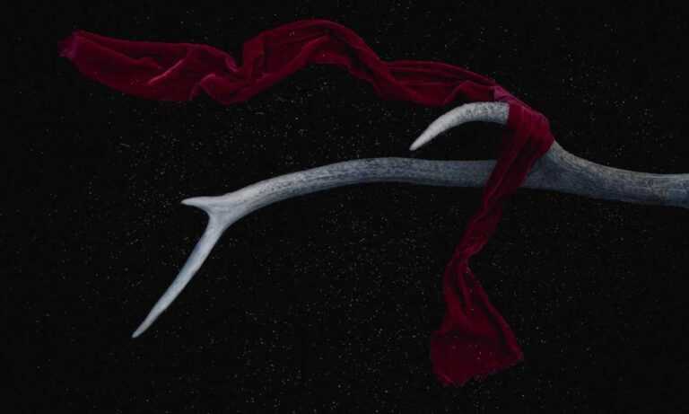 vegeta goku con ropa nike