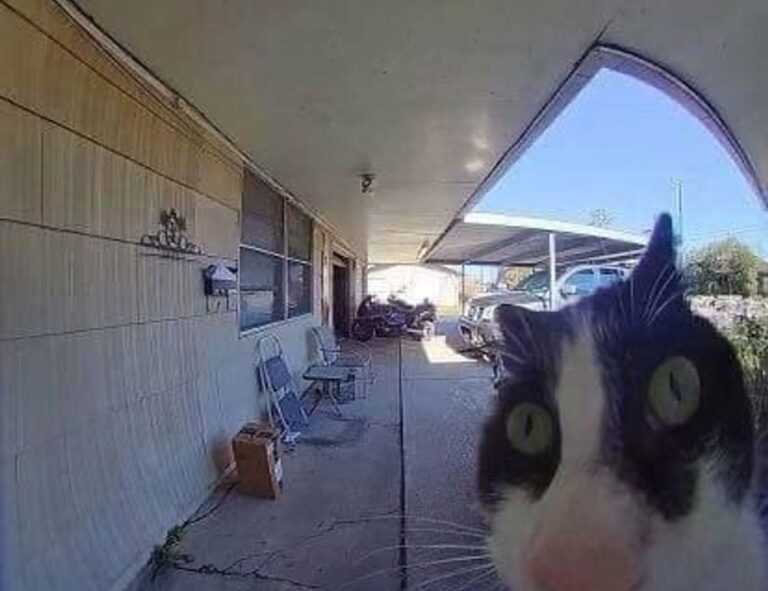 whatsapp frases tristes para llorar