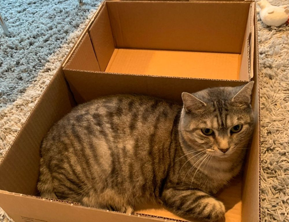 wirid hari senin sampai minggu