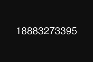 18883273395