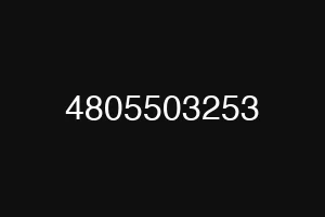 4805503253
