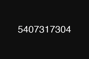 5407317304