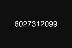 6027312099