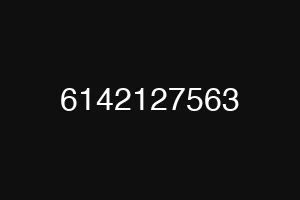 6142127563