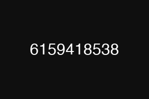 6159418538