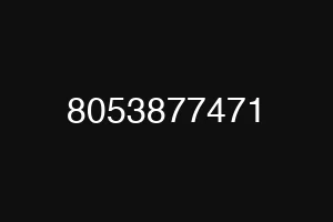 8053877471