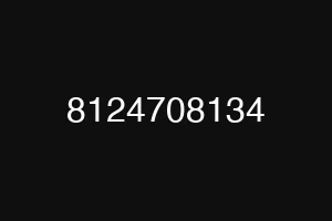 8124708134